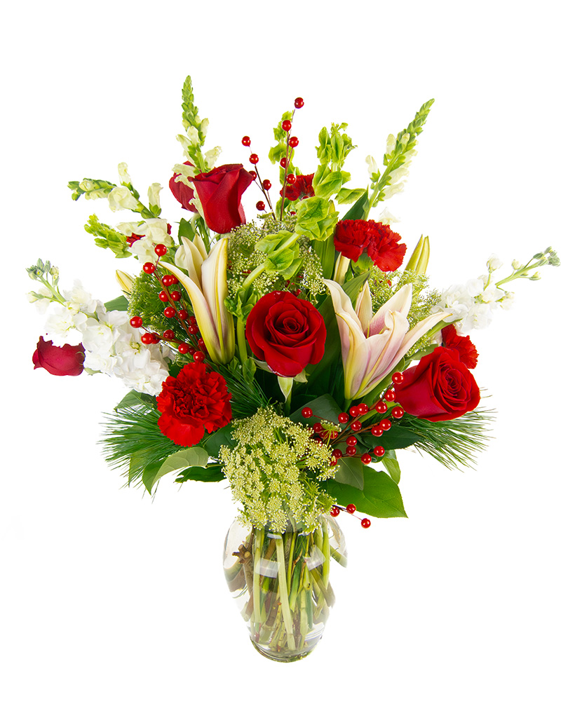 <b>Notice</b>: Undefined index: name in <b>/home/stranges/public_html/shop/vqmod/vqcache/vq2-catalog_view_theme_default_template_product_search.tpl</b> on line <b>386</b>